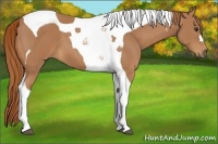 Horse Color:Chestnut Tobiano