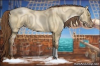 Horse Color:Brown Pearl Dun