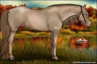 Horse Color:Liver Chestnut Pearl 