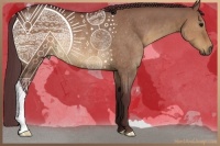 Horse Color:Chocolate Brown Dun Rabicano 