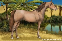 Horse Color:Brown Pearl 