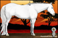 Horse Color:White Spotted Chocolate Silver Brown Splash Frame Appaloosa 