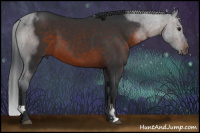 Horse Color:Brown 