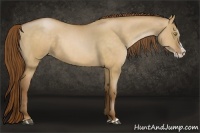 Horse Color:Bay Pearl Dun Splash 