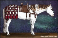 Horse Color:White Spotted Bay Dun Splash Snowflake Varnish 