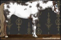 Horse Color:Liver Chestnut Frame