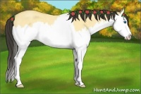 Horse Color:Buckskin Roan Dun Splash 