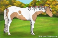 Horse Color:Silver Buckskin Tobiano 