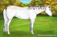 Horse Color:Silver Perlino Ice Splash 