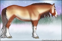 Horse Color:Chocolate Brown Onyx Sabino 