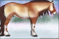 Horse Color:Chocolate Bay Onyx