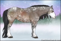 Horse Color:Brown Ice Sabino