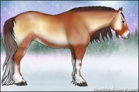 Horse Color:Chocolate Brown Onyx 