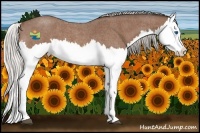 Horse Color:Silver Bay Roan Splash 