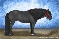Horse Color:Black Rabicano 