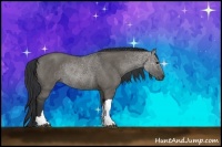 Horse Color:Grullo Rabicano 