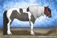 Horse Color:Black Tobiano Rabicano