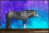 Horse Color:Black Rabicano 