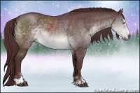 Horse Color:Chocolate Brown Chinchilla Sabino Rabicano