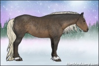 Horse Color:Liver Chestnut Rabicano 