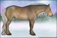 Horse Color:Liver Chestnut Rabicano 