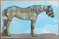 Horse Color:Plaid  White Spotted Chocolate Palomino Dun Rabicano 