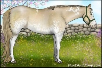 Horse Color:White Spotted Liver Red Dun Pearl Rabicano