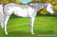 Horse Color:Silver Grullo Chinchilla Splash Frame 
