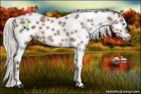 Horse Color:White Spotted Silver Bay Splash 