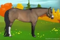 Horse Color:Brown Dun 