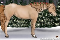 Horse Color:Chestnut Pearl 