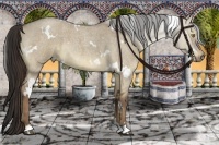 Horse Color:White Spotted Liver Red Dun Roan