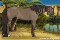 Horse Color:Liver Red Dun Sabino 