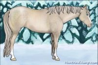 Horse Color:White Spotted Chocolate Palomino Pearl