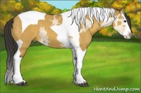 Horse Color:Buckskin Ice Dun Splash Tobiano 