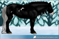 Horse Color:Smoky Black Near Leopard 