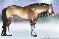 Horse Color:White Spotted Brown Onyx Rabicano 
