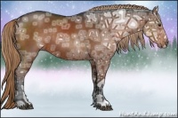 Horse Color:Liver Chestnut Ice Rabicano