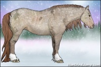 Horse Color:Liver Red Dun Ice Rabicano 