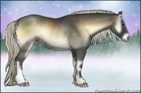 Horse Color:Liver Red Onyx Rabicano