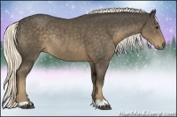 Horse Color:Liver Chestnut Rabicano