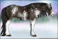 Horse Color:White Spotted Brown Ice Sabino 