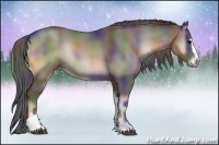 Horse Color:Nacre Blue Onyx Sabino