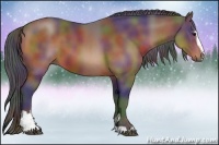 Horse Color:Nacre Brown Sabino 