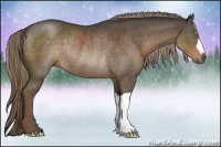 Horse Color:Liver Chestnut Rabicano 