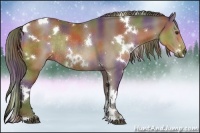 Horse Color:Nacre White Spotted Liver Chestnut Rabicano 