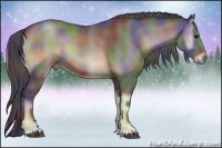 Horse Color:Nacre Blue Onyx 
