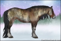 Horse Color:Brown Ice Onyx Rabicano 