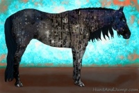 Horse Color:ERROR: UNKNOWN ANOMALY and ERROR: UNKNOWN ANOMALY