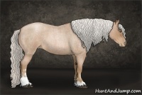 Horse Color:Silver Brown Roan Pearl Sabino 